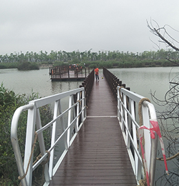 珠海横琴海洋生态修复（芒洲片区）浮桥工程